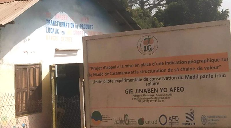 Le GIE Apicen à Oussouye