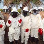 SCADO : apiculture