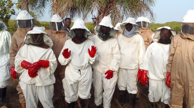 SCADO : apiculture
