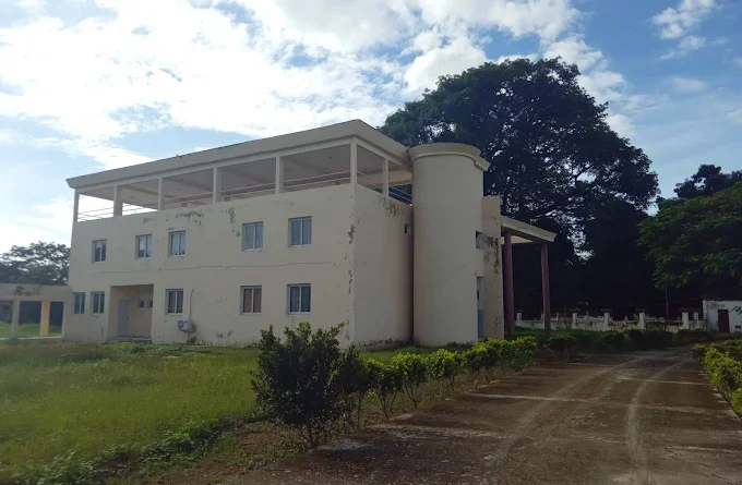 CEDAF (Centre Départemental d’Assistance et de Formation pour la Femme)